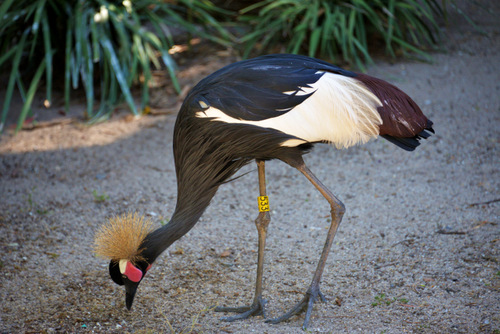 World of Birds Wildlife Sanctuary.